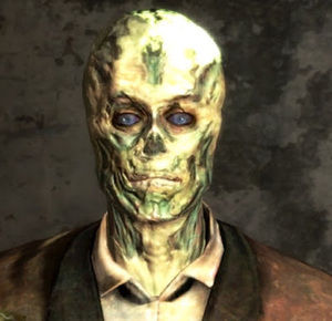 Meet your Posher, Matthew